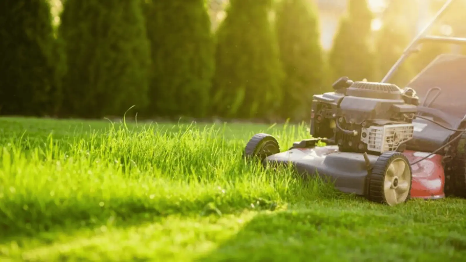 MDA Services — lawn care in Cataract
